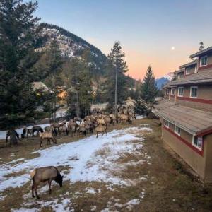 HI-Banff Alpine Centre