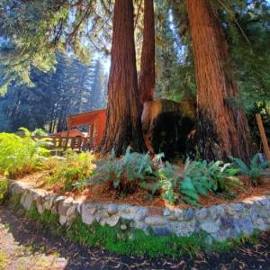 Hotels near Roaring Camp Railroads - Fern River Resort