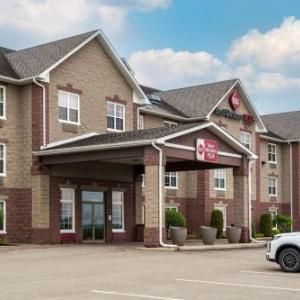 Hotels near Presque Isle Forum - Best Western Plus Grand-Sault Hotel & Suites