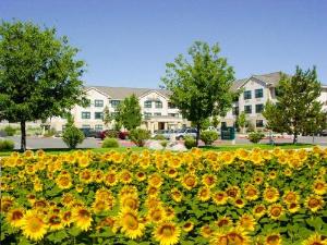 Extended Stay America Suites - Reno - South Meadows, Reno
