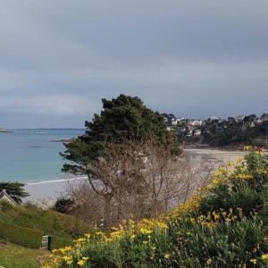 Appartement avec balcon plage de Trestraou parking inclus - FR-1-368-334