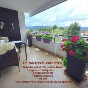Harz-Fewo-Wolf