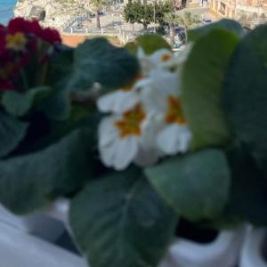 Sapore Di Sale Accommodation Tropea