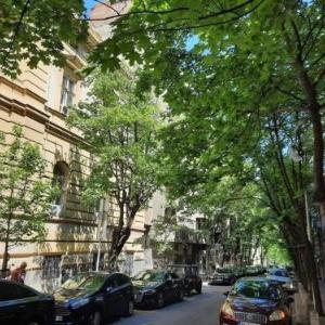 Apartment 51 - Bright spacious lux 1 bedroom in the city center - Stari grad