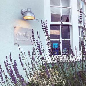 Whitecliff Guest House