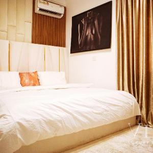 Vika Luxury 2-Bedroom Serviced Apartment Maitama