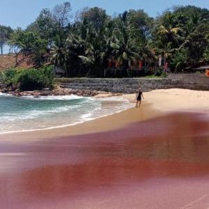 Surf Paradise 2
