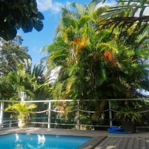 Appartement charmant à Rivière-Pilote avec piscine partagéeB
