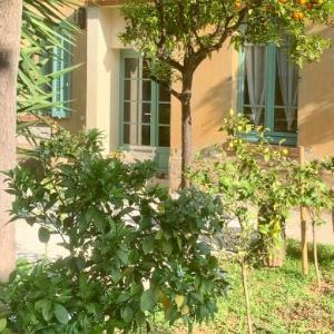 La villa des Amandiers
