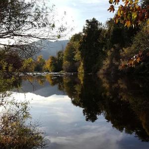 Sequoia Riverfront Cabins