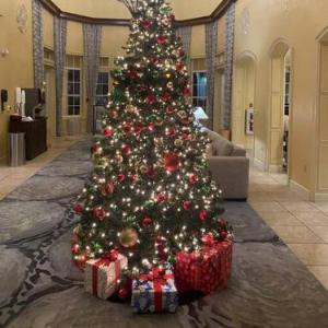 All furnished condo -than 10 min from major Parks!