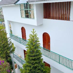 Nắng Mai Homestay