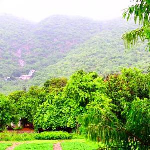 Hotel 777 Pushkar