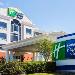 Florida State Fairgrounds Hotels - Holiday Inn Express Hotel & Suites Tampa-Fairgrounds-Casino