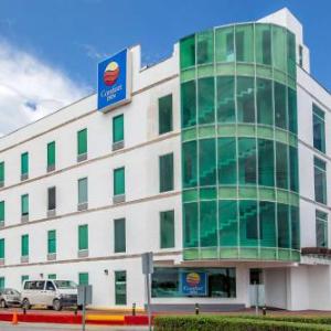 Pet Friendly Cancun Hotels Deals At The 1 Pet Friendly Hotel In