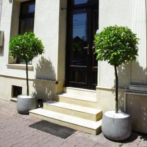 Avalon Rooms