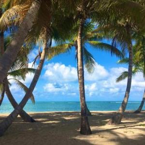 Cozy suite at coco Beach  2 days minimum no pets