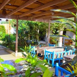 Rose Guest House 您在盧克索的第二個家