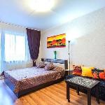 Apartment Nevsky Saint Petersburg 