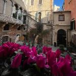 Bed and Breakfast in Venice 