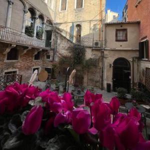 Corte del Doge di Rialto