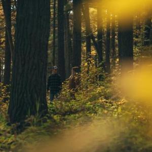 North Shore Camping Company