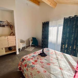 Ted Surf House