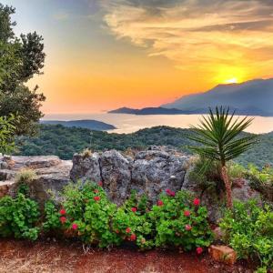 Olivia Homes Kaş 6