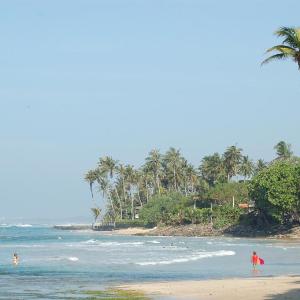 Sri Lanka Surf Villa Domus Graziella