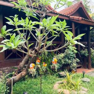 Villa de Mekong