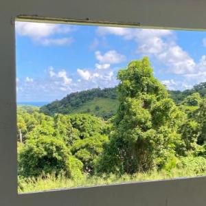 The Serene House Bed & Breakfast
