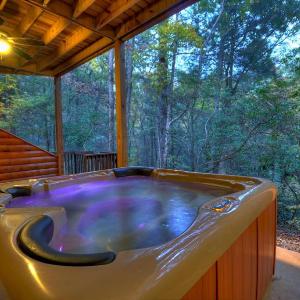 Castle Creek Hot tub nearby creek gas fireplace
