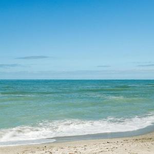 Coastal Breeze Siesta (B) - Turtle
