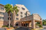 Tarpon Springs Florida Hotels - Fairfield Inn & Suites By Marriott Holiday Tarpon Springs