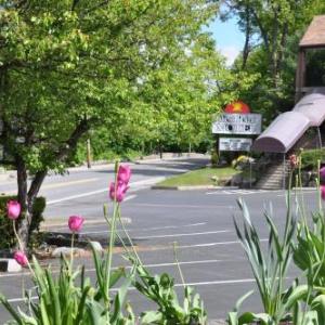 Hotels near Michie Stadium - West Point Motel
