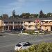 Hotels near Santa Cruz Civic Auditorium - Drift Inn LLC