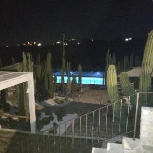 Garden Cactus