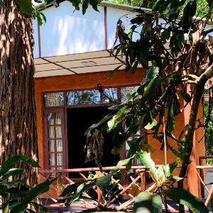 The Nirwana cottage