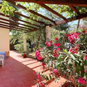 Villa Ai Pini a Punta Perla - Goelba