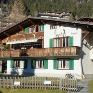 Chalet Berggeist Adelboden Wohnung 1