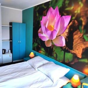 Pod Różą B&B