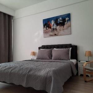 Luxury City Center Apartment – Garofita Romana#1