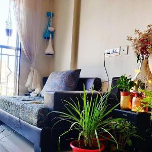 Cozy suite near Borivali