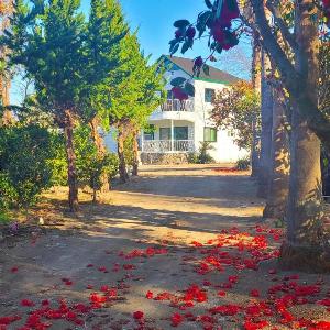 Osho House Wimi Gonnaetgol Orchard House
