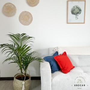 Andean Homes
