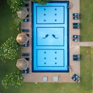 Camellia Resort And Spa Sigiriya - Sri Lanka