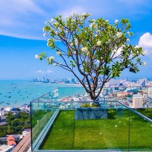 Sea View Near Walking Street
