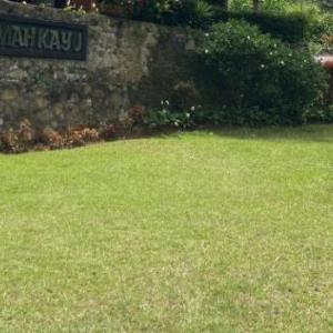 Villa Rumah Kayu