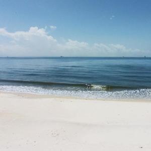 Ocean Melody