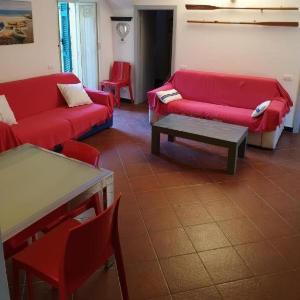 Beach Paradise - Napoleone